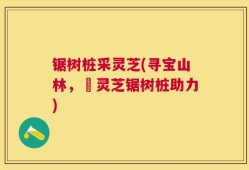 锯树桩采灵芝(寻宝山林，採灵芝锯树桩助力)