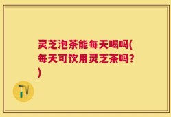灵芝泡茶能每天喝吗(每天可饮用灵芝茶吗？)