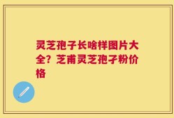 灵芝孢子长啥样图片大全？芝甫灵芝孢孑粉价格