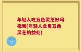 年轻人吃五色灵芝好吗视频(年轻人食用五色灵芝的益处)