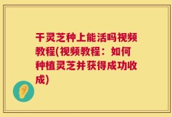 干灵芝种上能活吗视频教程(视频教程：如何种植灵芝并获得成功收成)