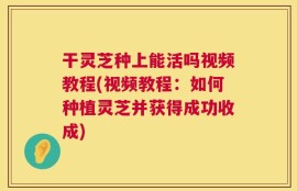 干灵芝种上能活吗视频教程(视频教程：如何种植灵芝并获得成功收成)