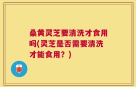 桑黄灵芝要清洗才食用吗(灵芝是否需要清洗才能食用？)