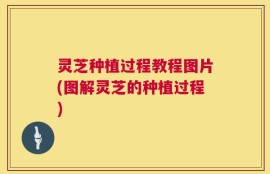 灵芝种植过程教程图片(图解灵芝的种植过程)