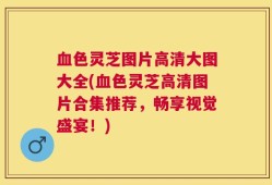 血色灵芝图片高清大图大全(血色灵芝高清图片合集推荐，畅享视觉盛宴！)