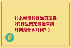 什么时候的野生灵芝最好(野生灵芝最佳采摘时间是什么时候？)