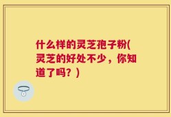 什么样的灵芝孢子粉(灵芝的好处不少，你知道了吗？)