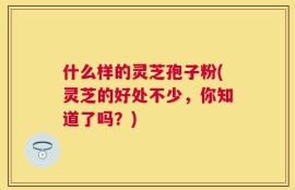 什么样的灵芝孢子粉(灵芝的好处不少，你知道了吗？)