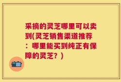 采摘的灵芝哪里可以卖到(灵芝销售渠道推荐：哪里能买到纯正有保障的灵芝？)