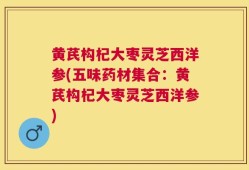 黄芪构杞大枣灵芝西洋参(五味药材集合：黄芪构杞大枣灵芝西洋参)