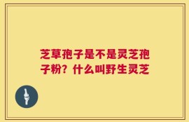 芝草孢子是不是灵芝孢子粉？什么叫野生灵芝