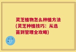 灵芝植物怎么种植方法(灵芝种植技巧：从选苗到管理全攻略)