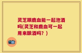 灵芝跟鹿血能一起泡酒吗(灵芝和鹿血可一起用来酿酒吗？)