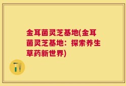 金耳菌灵芝基地(金耳菌灵芝基地：探索养生草药新世界)