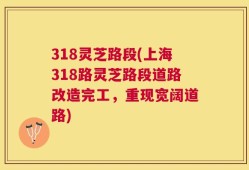 318灵芝路段(上海318路灵芝路段道路改造完工，重现宽阔道路)