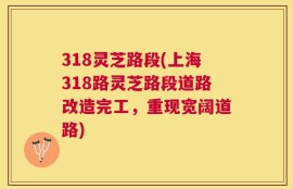 318灵芝路段(上海318路灵芝路段道路改造完工，重现宽阔道路)