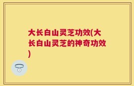 大长白山灵芝功效(大长白山灵芝的神奇功效)