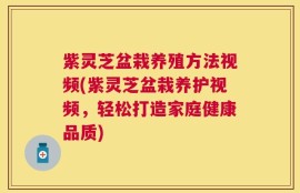 紫灵芝盆栽养殖方法视频(紫灵芝盆栽养护视频，轻松打造家庭健康品质)