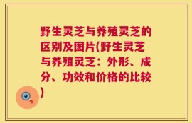 野生灵芝与养殖灵芝的区别及图片(野生灵芝与养殖灵芝：外形、成分、功效和价格的比较)