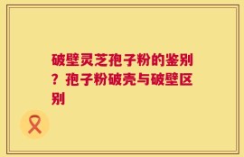 破壁灵芝孢子粉的鉴别？孢子粉破壳与破壁区别