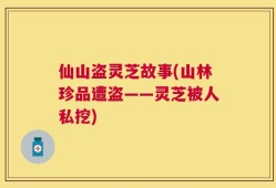 仙山盗灵芝故事(山林珍品遭盗——灵芝被人私挖)
