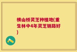 横山桥灵芝种植地(重生林中4年灵芝销路好)