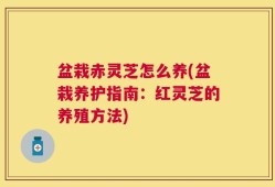 盆栽赤灵芝怎么养(盆栽养护指南：红灵芝的养殖方法)