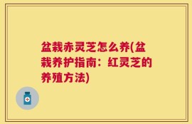 盆栽赤灵芝怎么养(盆栽养护指南：红灵芝的养殖方法)