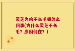 灵芝为啥不长毛呢怎么回事(为什么灵芝不长毛？原因何在？)