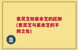 紫灵芝和紫赤芝的区别(紫灵芝与紫赤芝的不同之处)