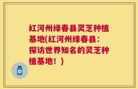 红河州绿春县灵芝种植基地(红河州绿春县：探访世界知名的灵芝种植基地！)