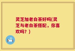 灵芝加老白茶好吗(灵芝与老白茶搭配，你喜欢吗？)
