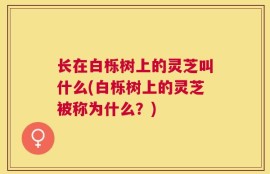 长在白栎树上的灵芝叫什么(白栎树上的灵芝被称为什么？)
