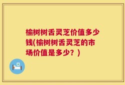 榆树树舌灵芝价值多少钱(榆树树舌灵芝的市场价值是多少？)