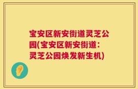 宝安区新安街道灵芝公园(宝安区新安街道：灵芝公园焕发新生机)