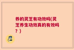 养的灵芝有功效吗(灵芝养生功效真的有效吗？)