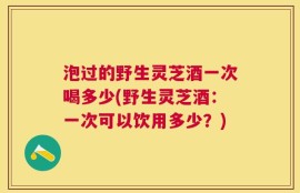 泡过的野生灵芝酒一次喝多少(野生灵芝酒：一次可以饮用多少？)