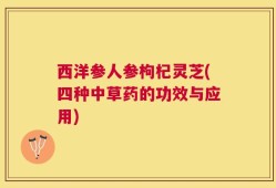 西洋参人参枸杞灵芝(四种中草药的功效与应用)