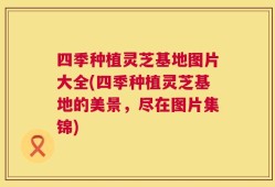 四季种植灵芝基地图片大全(四季种植灵芝基地的美景，尽在图片集锦)
