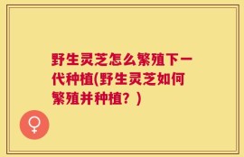 野生灵芝怎么繁殖下一代种植(野生灵芝如何繁殖并种植？)
