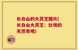 长白山的大灵芝图片(长白山大灵芝：壮观的天然奇观)