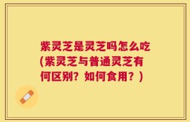 紫灵芝是灵芝吗怎么吃(紫灵芝与普通灵芝有何区别？如何食用？)
