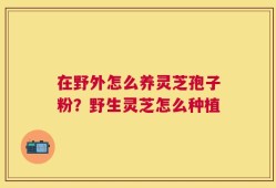在野外怎么养灵芝孢子粉？野生灵芝怎么种植