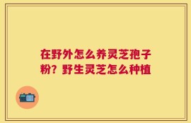 在野外怎么养灵芝孢子粉？野生灵芝怎么种植
