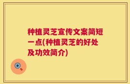 种植灵芝宣传文案简短一点(种植灵芝的好处及功效简介)