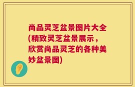 尚品灵芝盆景图片大全(精致灵芝盆景展示，欣赏尚品灵芝的各种美妙盆景图)