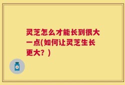灵芝怎么才能长到很大一点(如何让灵芝生长更大？)