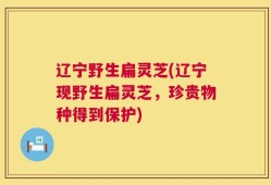 辽宁野生扁灵芝(辽宁现野生扁灵芝，珍贵物种得到保护)