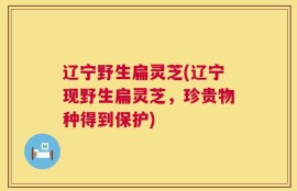 辽宁野生扁灵芝(辽宁现野生扁灵芝，珍贵物种得到保护)