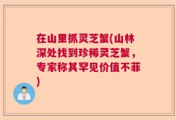 在山里抓灵芝蟹(山林深处找到珍稀灵芝蟹，专家称其罕见价值不菲)